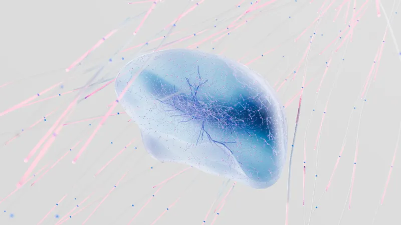 Pensar por uno mismo: la gran ficción que el cerebro nos vende cada día